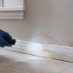 Checking a damp baseboard for signs of mold after a water leak